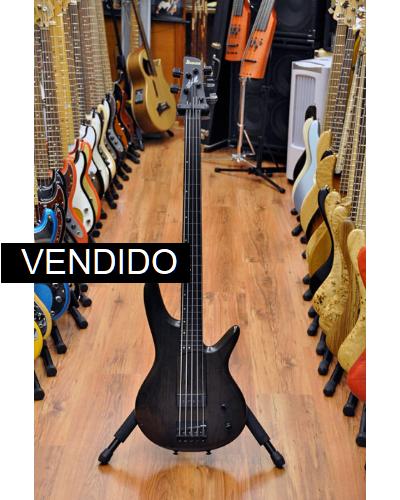 Ibanez Gary Willis